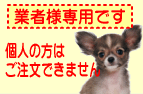 業者様専用アウトレットサイトです