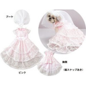 画像1: 【お買い得】エンジェルウエディング  1〜4号