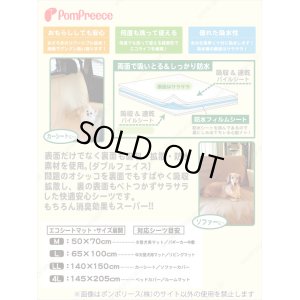画像2: 制菌エコシートマットプレミアII　ＬＬサイズ