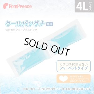 画像1: クールバンダナ専用替え保冷ソフトジェルパック【4L】