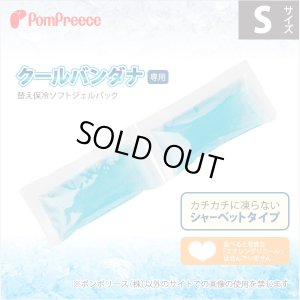 画像1: クールバンダナ専用替え保冷ソフトジェルパック【S】