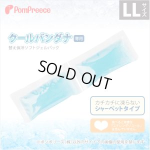 画像1: クールバンダナ専用替え保冷ソフトジェルパック【LL】
