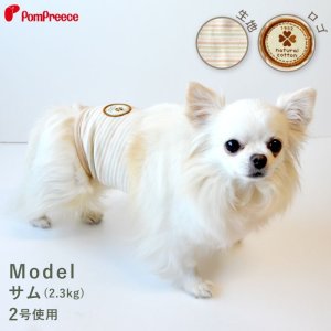 画像2: マナーベルト　オーガニックボーダー　「1〜5号」