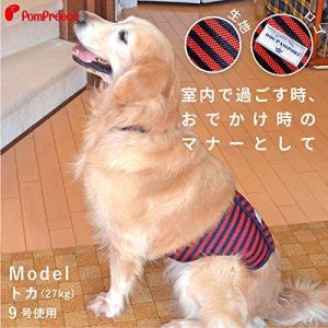 画像2: 中大型犬用 マナーベルト メッシュストライプ 8〜10号