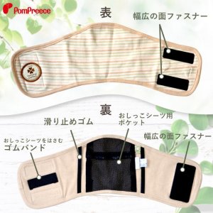 画像5: マナーベルト　オーガニックボーダー　「1〜5号」