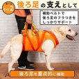 画像3: 中・大型犬用　オールケアハーネス　8〜10号