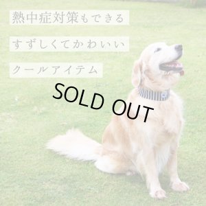 画像2: ソフトジェル　クールバンダナ レトロボーダ－  S〜4L
