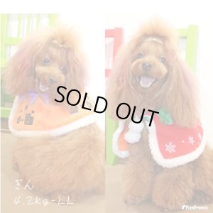 画像2: リバーシブルケープ　ハロウィン・Xmas　【S】