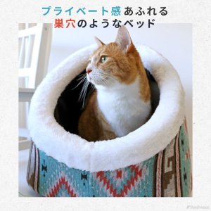 画像1: 巣穴カドラー　アメリカンズネイチャー　M