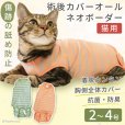 画像1: [ネコpom]猫用術後カバーオール ネオボーダー【2・3・4号】 (1)