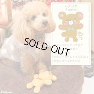 画像1: Pee Pee TOY ハグベア★ポム