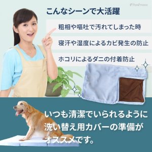 画像4: 高反発エアプレーンマット II専用カバー