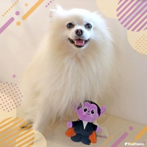 画像10: PeePeeTOY カサカサ小悪魔くん