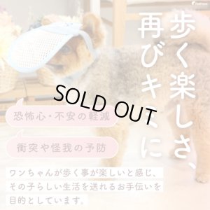 画像1: アイ＆フェイスガード メッシュブリムハット【S】