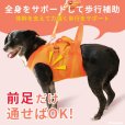 画像2: 中・大型犬用　メッシュオールケアハーネス　6〜7号