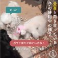 画像10: アイ＆フェイスガード メッシュブリムハット【LL】