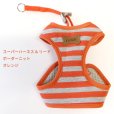 画像9: スーパーハーネス＆リード ボーダーニット 5〜6号【防虫パックプレゼント】