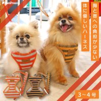 スーパーハーネス＆リード ボーダーニット 3〜4号【防虫パックプレゼント】