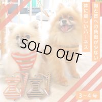スーパーハーネス＆リード ボーダーニット 3〜4号【防虫パックプレゼント】