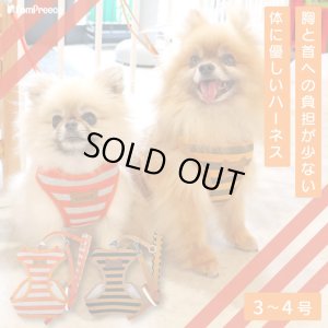 画像1: スーパーハーネス＆リード ボーダーニット 3〜4号【防虫パックプレゼント】