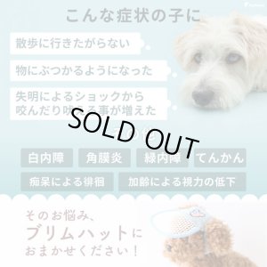 画像4: アイ＆フェイスガード メッシュブリムハット【S】