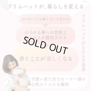 画像3: アイ＆フェイスガード メッシュブリムハット【S】