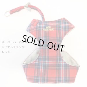 画像7: スーパーハーネス＆リード ボーダーニット 3〜4号