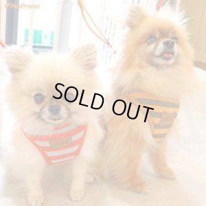 画像3: スーパーハーネス＆リード ボーダーニット 3〜4号【防虫パックプレゼント】