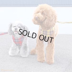 画像5: スーパーハーネス＆リード ボーダーニット 3〜4号
