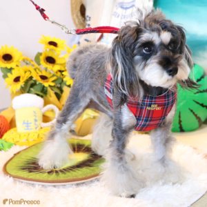 画像4: スーパーハーネス＆リード ボーダーニット 3〜4号【防虫パックプレゼント】