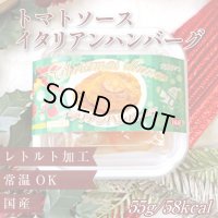 トマトソースのイタリアンハンバーグ （X`mas限定パッケージ）