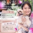 画像11: ムシイヤイヤ　パルファン