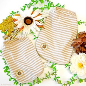 画像11: オーガニックＴシャツ　シンプルボーダー　２号