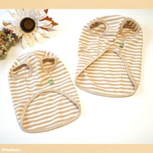 画像12: オーガニックＴシャツ　シンプルボーダー　２号