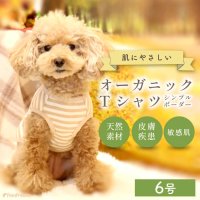 中大型犬用オーガニックＴシャツ　シンプルボーダー　６号