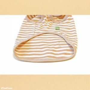 画像15: オーガニックＴシャツ　シンプルボーダー　２号