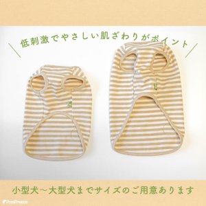 画像2: オーガニックＴシャツ　シンプルボーダー　２号