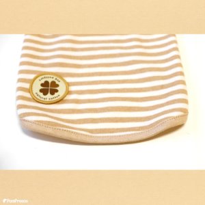 画像16: オーガニックＴシャツ　シンプルボーダー　２号