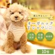 画像1: 中大型犬用オーガニックＴシャツ　シンプルボーダー　１０号 (1)