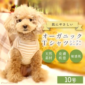 画像1: 中大型犬用オーガニックＴシャツ　シンプルボーダー　１０号