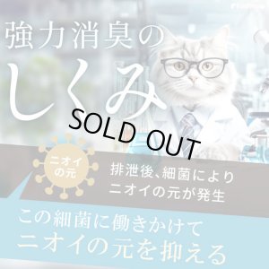 画像11: お散歩時のマナー除菌水「次亜塩素酸水　アミアンピュア除菌水60」　1000ml【詰め替え用】  単品【ノズルプレゼント】