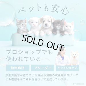 画像8: お散歩時のマナー除菌水「次亜塩素酸水　アミアンピュア除菌水60」　1000ml【詰め替え用】  単品【ノズルプレゼント】