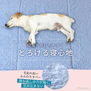 画像5: 高反発エアプレーンマット II