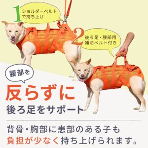 画像8: 中大型犬用 メッシュ3WAYケアハーネスプレミアム　7号