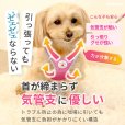 画像7: スーパーハーネス＆リードメッシュドッグスター　 1〜3号【防虫パックプレゼント】