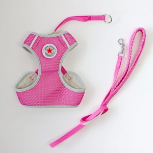 画像17: スーパーハーネス＆リードメッシュドッグスター　 1〜3号【防虫パックプレゼント】