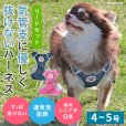 画像1: スーパーハーネス＆リードメッシュドッグスター　 4〜5号【防虫パックプレゼント】 (1)