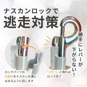 画像10: スーパーハーネス＆リードメッシュドッグスター　 1〜3号【防虫パックプレゼント】
