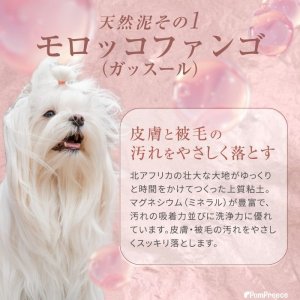 画像6: ローズ入りマッドパック タラソテラピーパワー　1Kg【リニューアル】