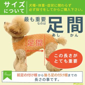画像15: 中大型犬用 メッシュ3WAYケアハーネスプレミアム　5号